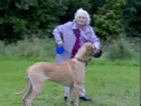 granny with dog sex|Thirsty granny getting fucked by a dog outdoors .